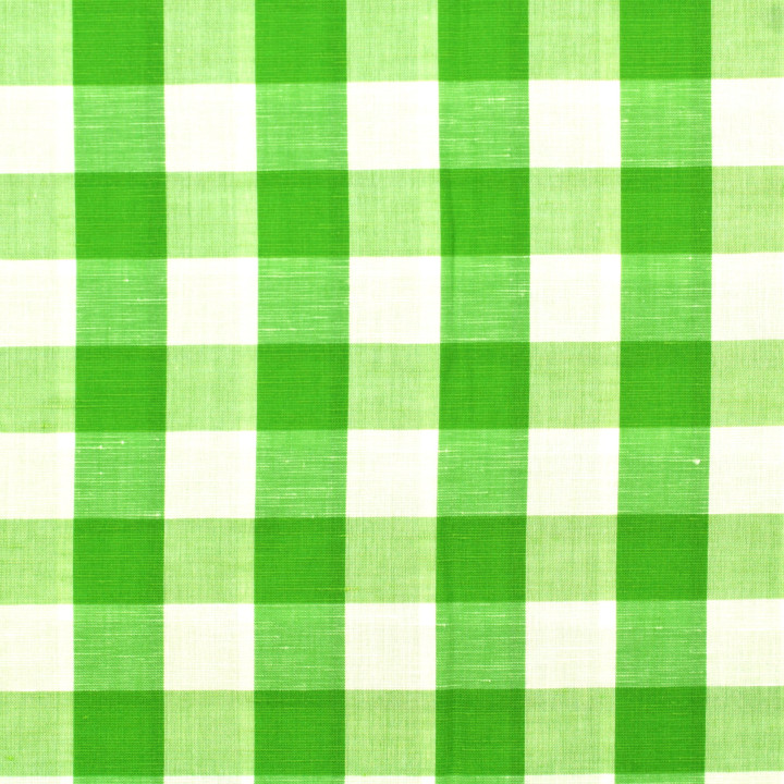 Tissu coton chemise à carreaux vert et blanc