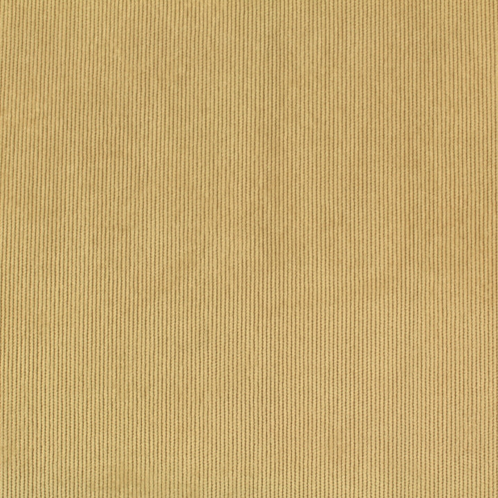 Tissu velours milleraie uni de couleur ivoire