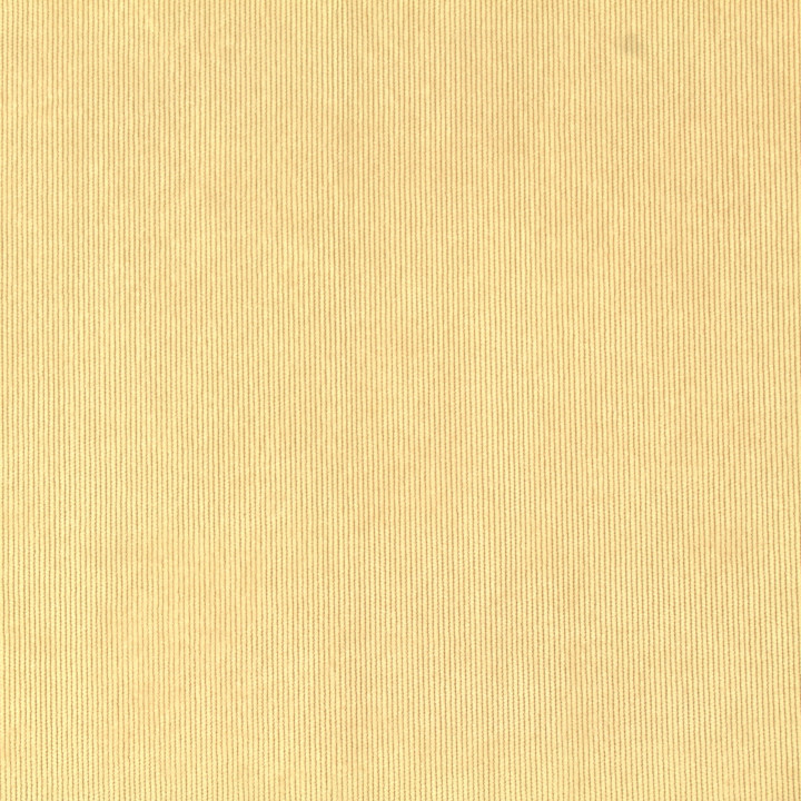 Tissu velours milleraie uni de couleur beige claire