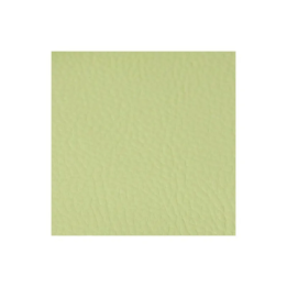 Simili cuir uni olive